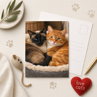 Postal Gatos Siamés y Naranja Adorables 