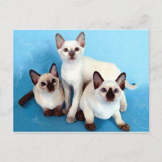 Postal Gatos siameses