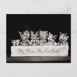 Postal Gatos Vestidos Té Vintage