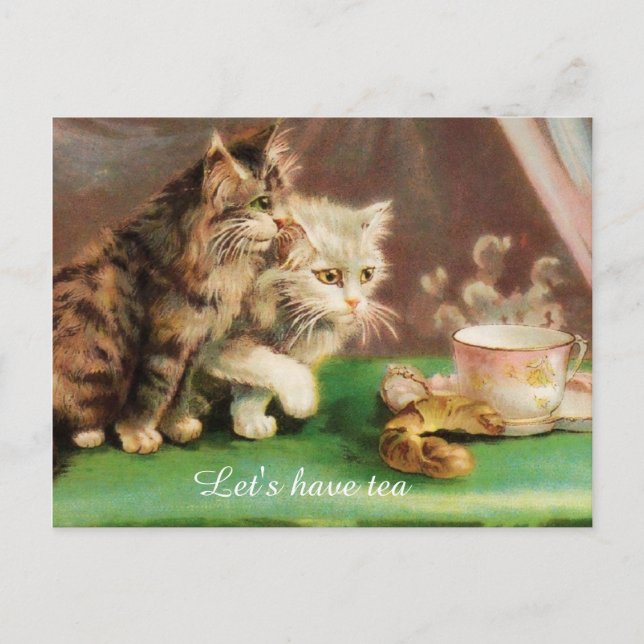 Postal Gatos vintage de té personalizados (Anverso)