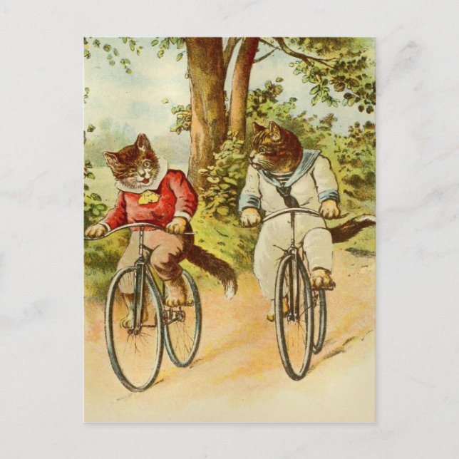 Postal Gatos Vintage Montando Bicicletas Ilustracion Post (Anverso)