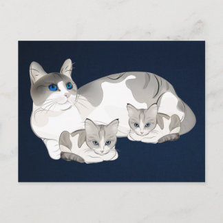 Postal gatos y gatitos