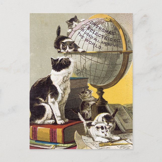 Postal Gatos y globo (Anverso)