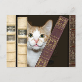 Postal Gatos y libros