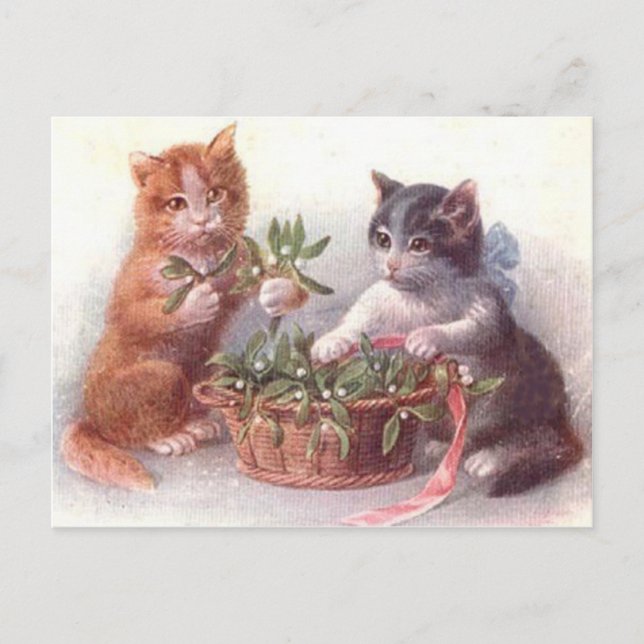Postal Gatos y muérdago (Anverso)