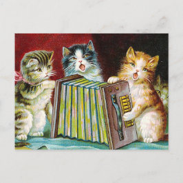 Postal "Gatos y una caja de cambios"