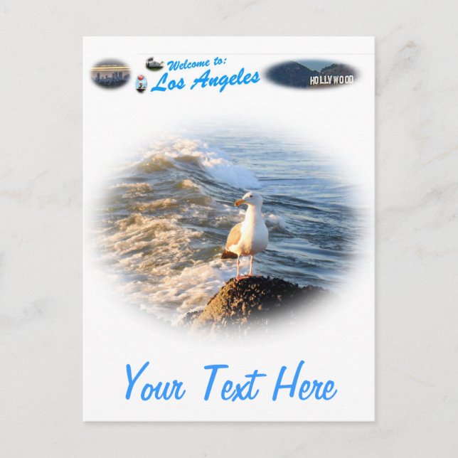 Postal Gaviota (Anverso)