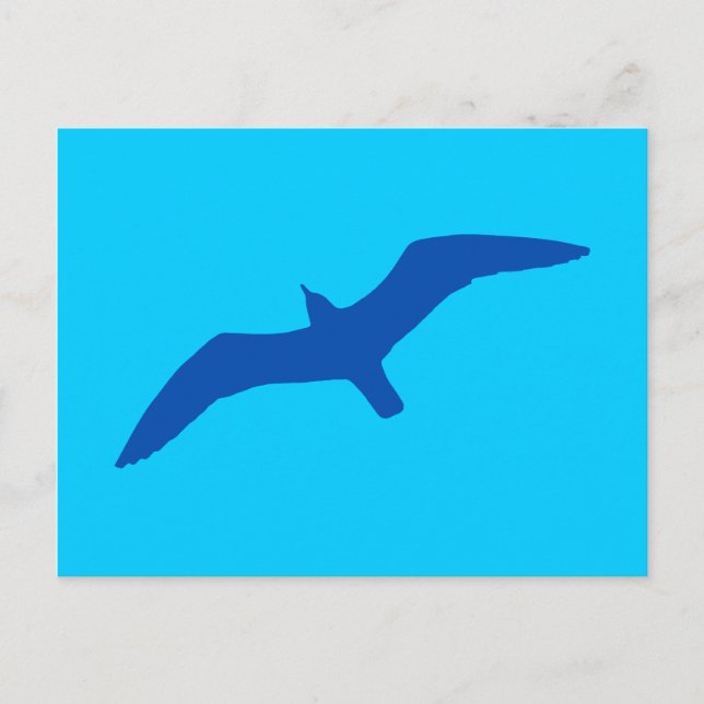 Postal Gaviota azul Aqua (Anverso)