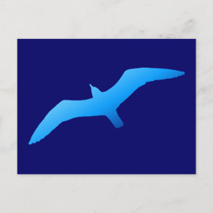 Postal Gaviota Azul Volando