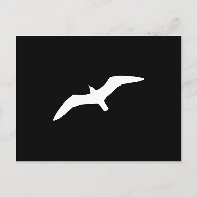 Postal Gaviota Blanca (Anverso)