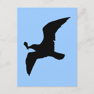Postal Gaviota Con Icecream