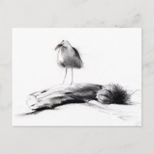 Postal Gaviota de California 2012