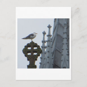 Postal Gaviota en Glasgow