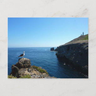 Postal Gaviota en la isla Anacapa en Channel Islands