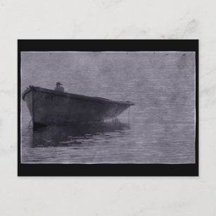 Postal Gaviota En La Niebla.