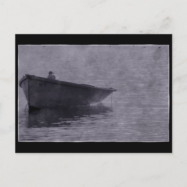 Postal Gaviota En La Niebla. (Anverso)