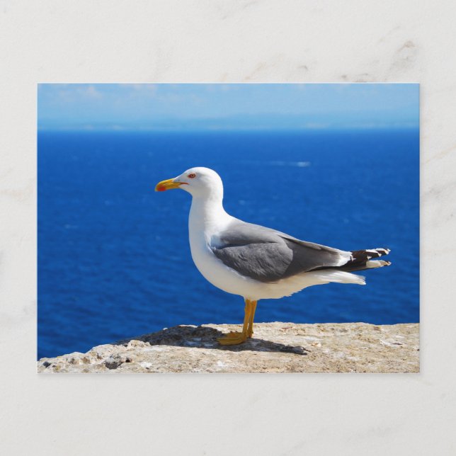 Postal Gaviota en la playa (Anverso)