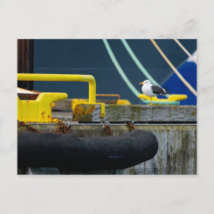 Postal Gaviota en un ambiente abstracto