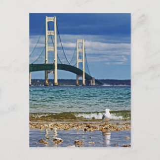 Postal Gaviota por puente Mackinac