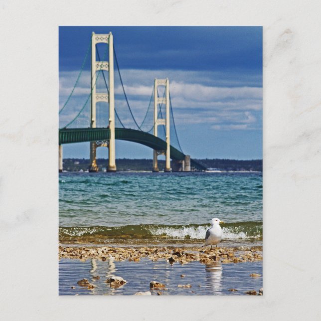 Postal Gaviota por puente Mackinac (Anverso)