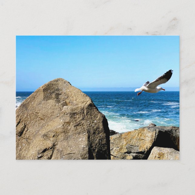 Postal Gaviota se va  (Anverso)