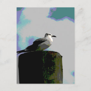Postal Gaviota sentada en una fotografía poserizada en un