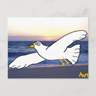 Postal Gaviota sobre la bahía