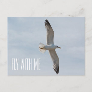 Postal Gaviota volando