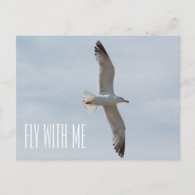 Postal Gaviota volando (Anverso)