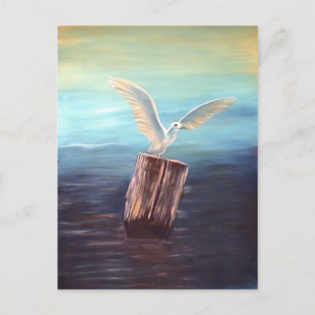 Postal Gaviota: www.AriesArtist.com (Anverso)