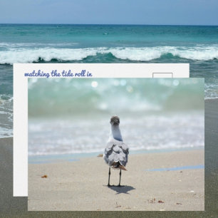 Postal Gaviota Zen en la playa Fotografía