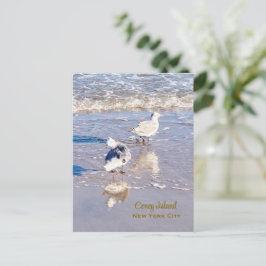 Postal Gaviotas de Coney Island