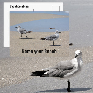 Postal Gaviotas en la orilla de la playa personalizable