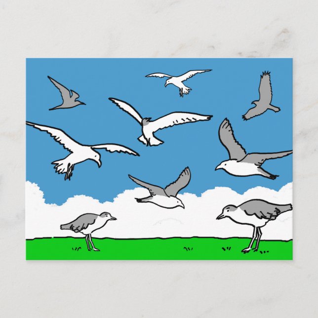 Postal Gaviotas en vuelo (Anverso)