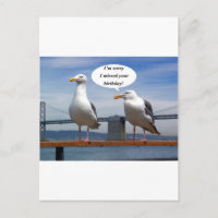 Gaviotas hablando
