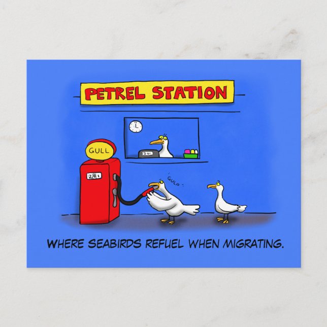 Postal Gaviotas marinas divertidas petrel humor personali (Anverso)