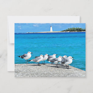 Postal Gaviotas, Nassau, Bahamas