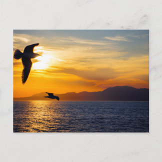 Postal Gaviotas sobre el golfo Sarónico, Grecia