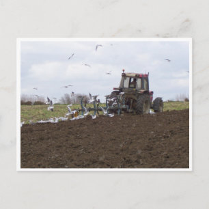 Postal Gaviotas y tractores