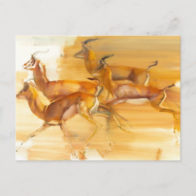 Postal Gazelles corrientes 2010 (Anverso)