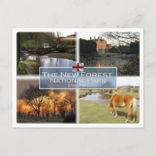 Postal GB Reino Unido - Inglaterra - New Forest N.P. -