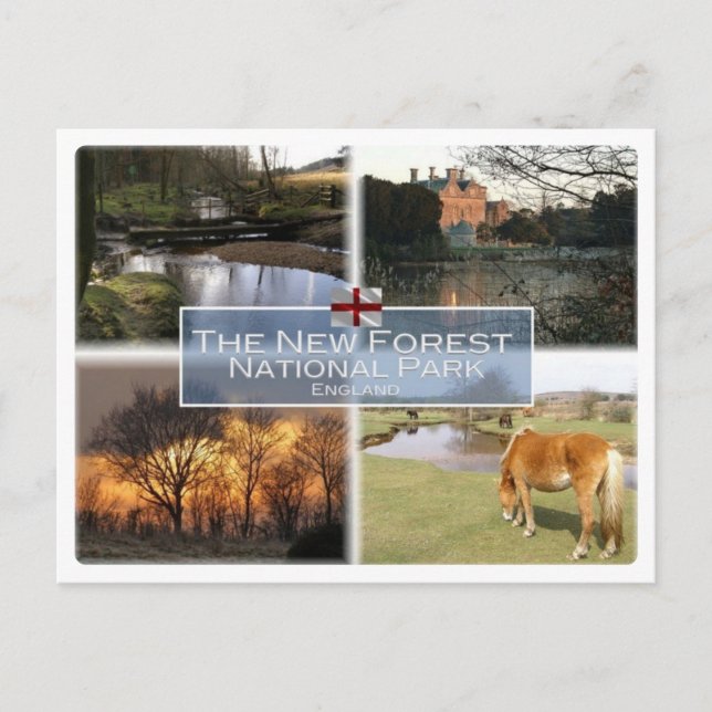 Postal GB Reino Unido - Inglaterra - New Forest N.P. - (Anverso)