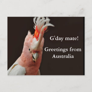 Postal ¡Gday mate! saludos de Australia