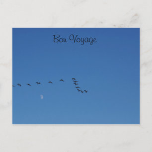 Postal Géanos canadienses en vuelo