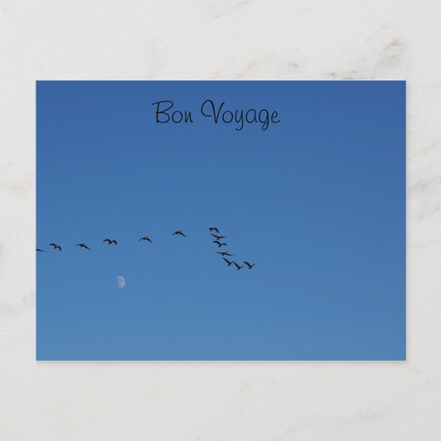 Postal Géanos canadienses en vuelo (Anverso)