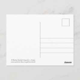 Postal Geburtstags Schneckenpost