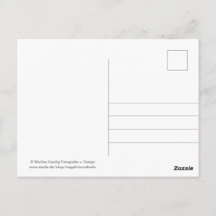 Postal Geburtstags Schneckenpost