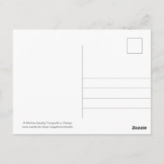 Postal Geburtstags Schneckenpost