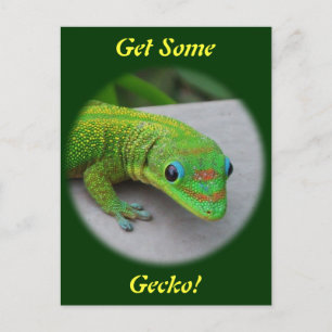 Postal Gecko del Día del Polvo de Oro - Audición y conseg