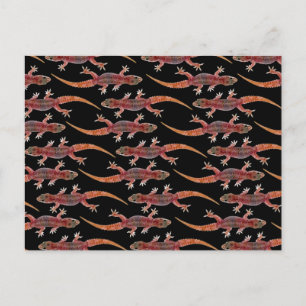 Postal Geckos
